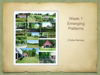 Week 1
Emerging
Patterns
Cristie Kenney
 