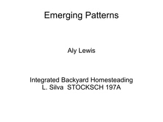 Emerging Patterns
Aly Lewis
Integrated Backyard Homesteading
L. Silva STOCKSCH 197A
 