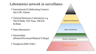  International (Collaborating Centres)
like CDCAtlanta
 National Reference Laboratories e.g.
NICD Delhi, NIV Pune, NICED
Kolkata
 State laboratories
 Intermediate
(District/Provincial/Medical College)
 Peripheral (PHC/CHC)
State Laboratories
National Laboratories
District Laboratories
Peripheral Laboratories
40
Laboratories network in surveillance
 