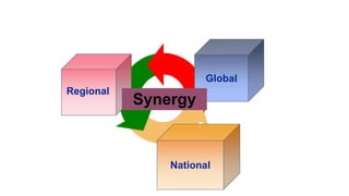 National
Regional
Global
Synergy
 