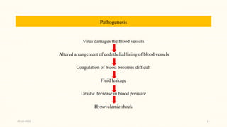 Pathogenesis
Virus damages the blood vessels
Altered arrangement of endothelial lining of blood vessels
Coagulation of blood becomes difficult
Fluid leakage
Drastic decrease in blood pressure
Hypovolemic shock
09-10-2020 11
 