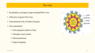 The virus
• Icosahedral, enveloped, single stranded RNA virus
• Arbovirus of genus Flavivirus
• Transmitted by bite of Aedes mosquito
• Also transmitted
• from pregnant mother to fetus
• Through sexual contact
• Hemotransfusion
• Organ transplant
09-10-2020 16
 