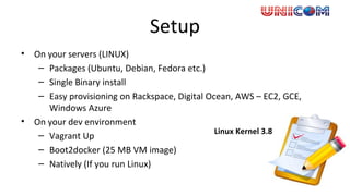 Setup
• On your servers (LINUX)
– Packages (Ubuntu, Debian, Fedora etc.)
– Single Binary install
– Easy provisioning on Rackspace, Digital Ocean, AWS – EC2, GCE,
Windows Azure
• On your dev environment
– Vagrant Up
– Boot2docker (25 MB VM image)
– Natively (If you run Linux)
Linux Kernel 3.8
 