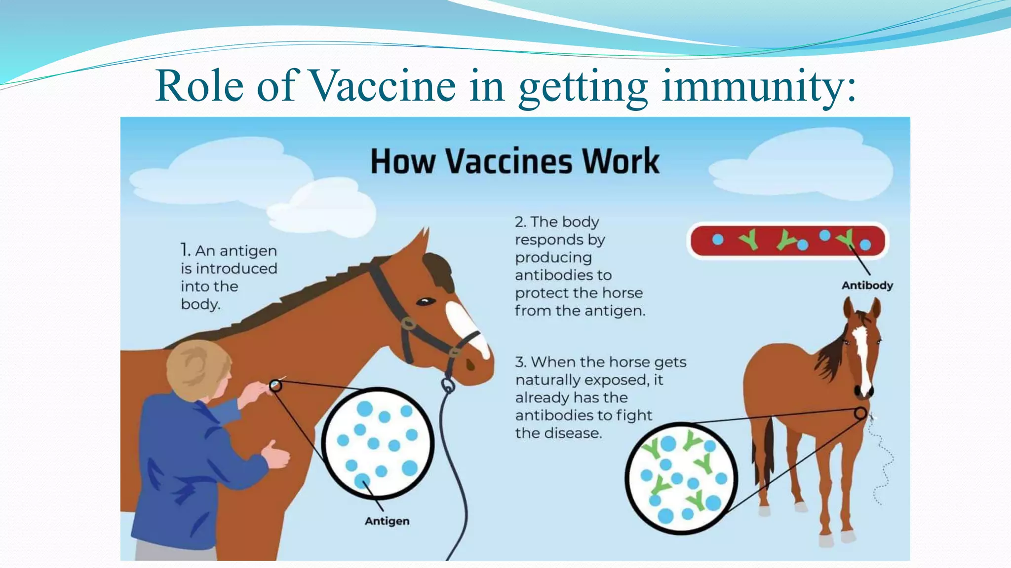 Role of Vaccine in getting immunity:
 