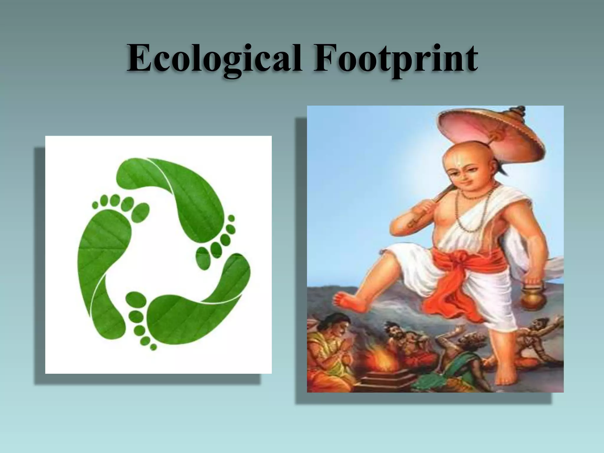 Ecological Footprint
 