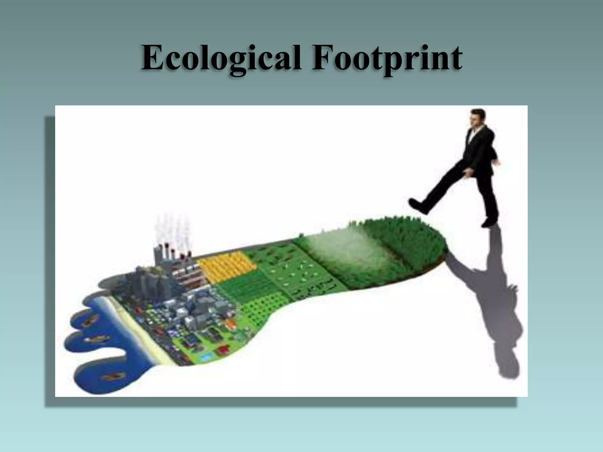 Ecological Footprint
 