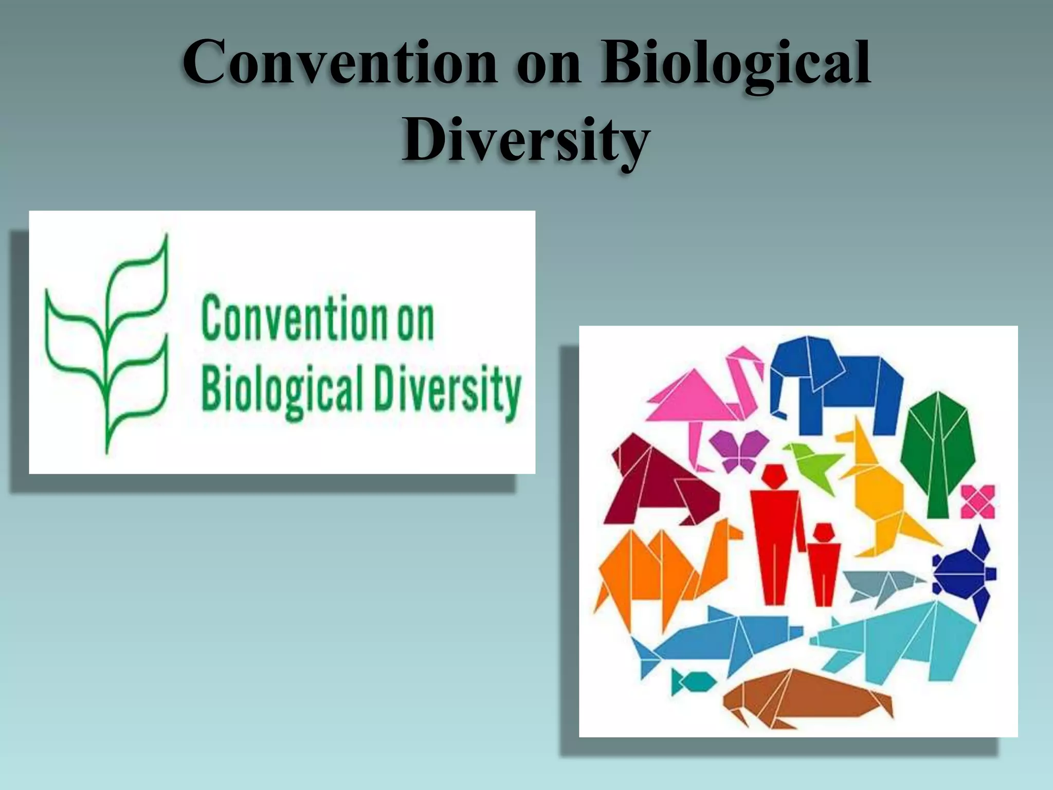Convention on Biological
Diversity
 