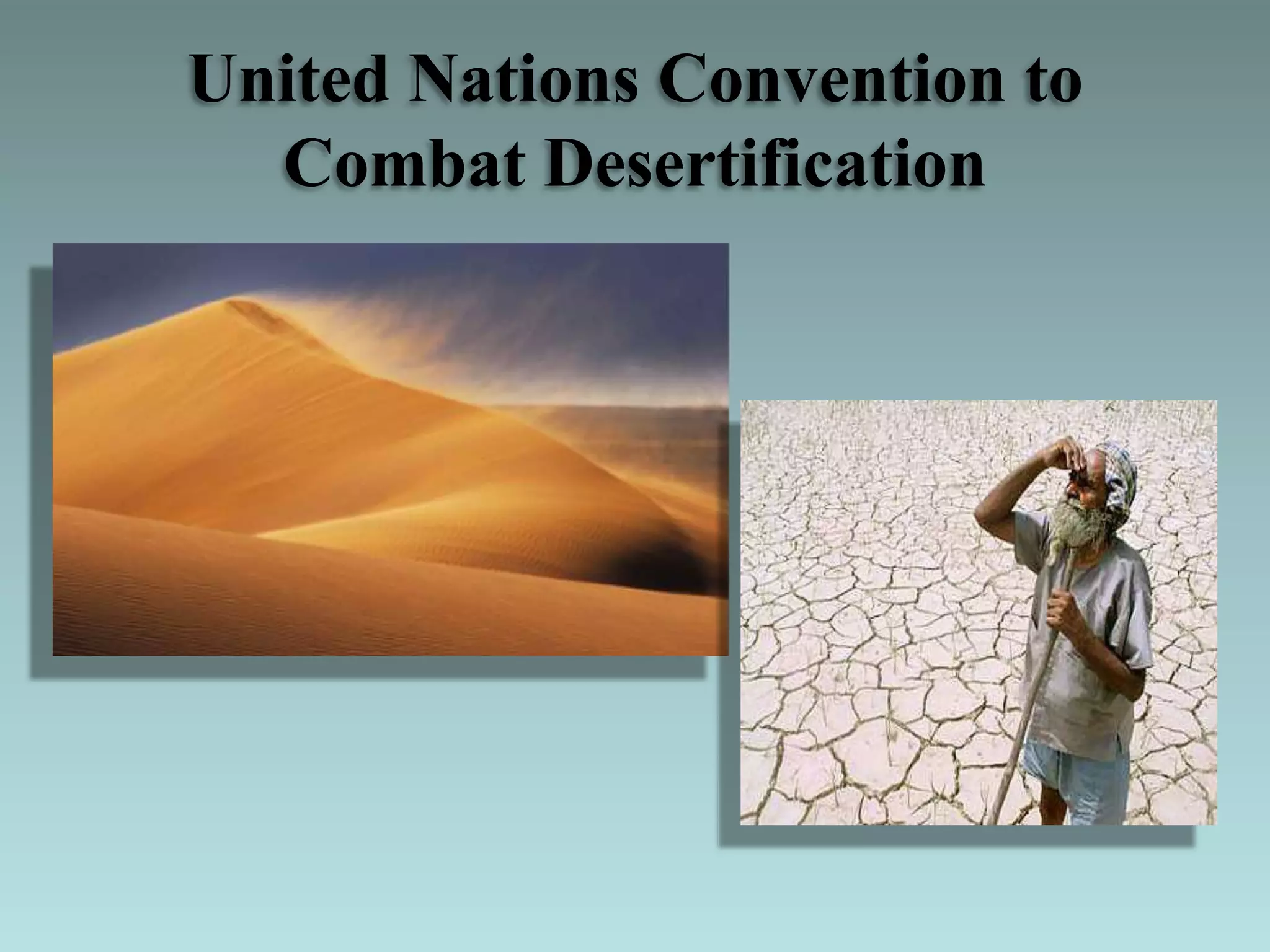 United Nations Convention to
Combat Desertification
 