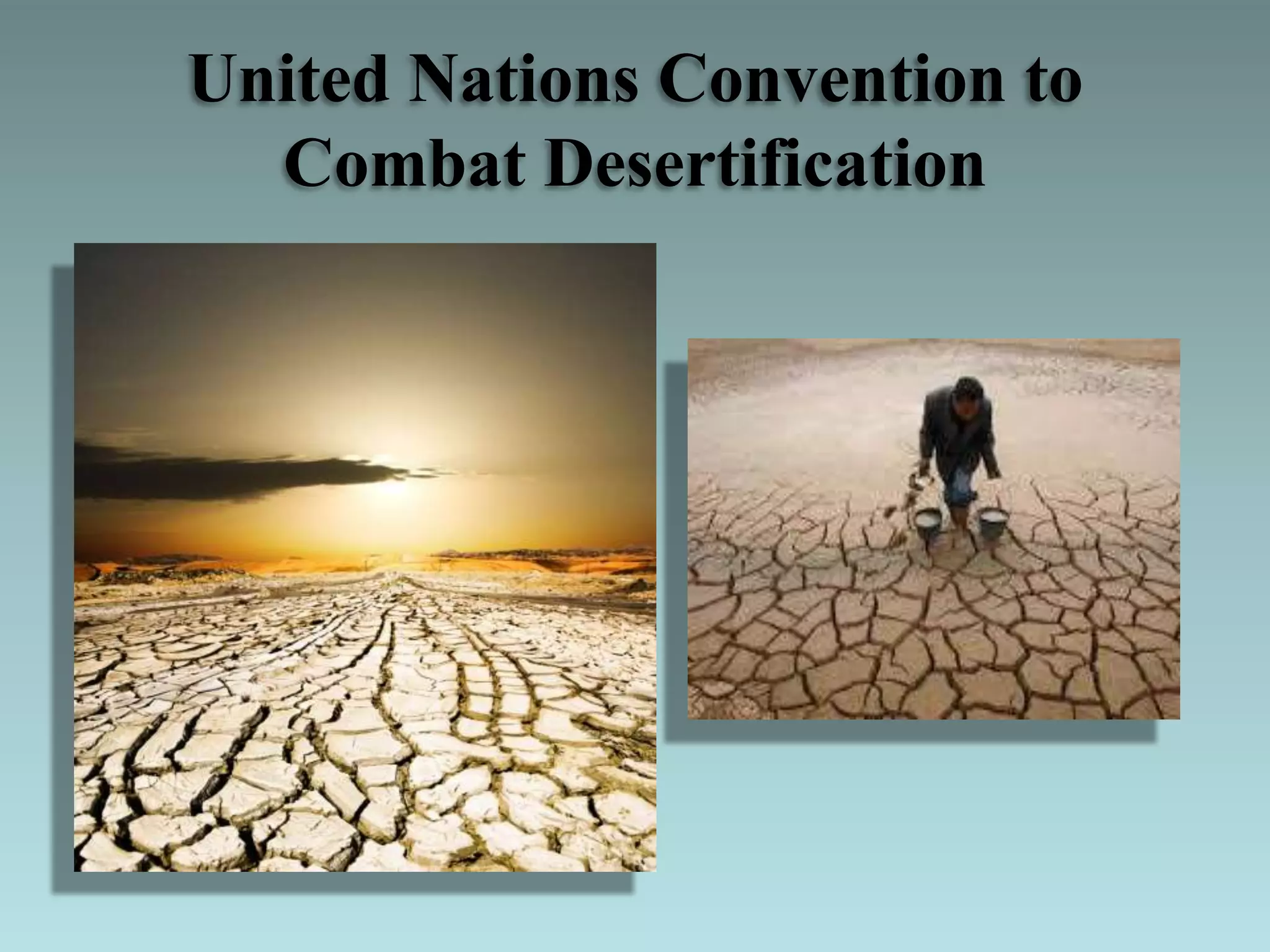 United Nations Convention to
Combat Desertification
 