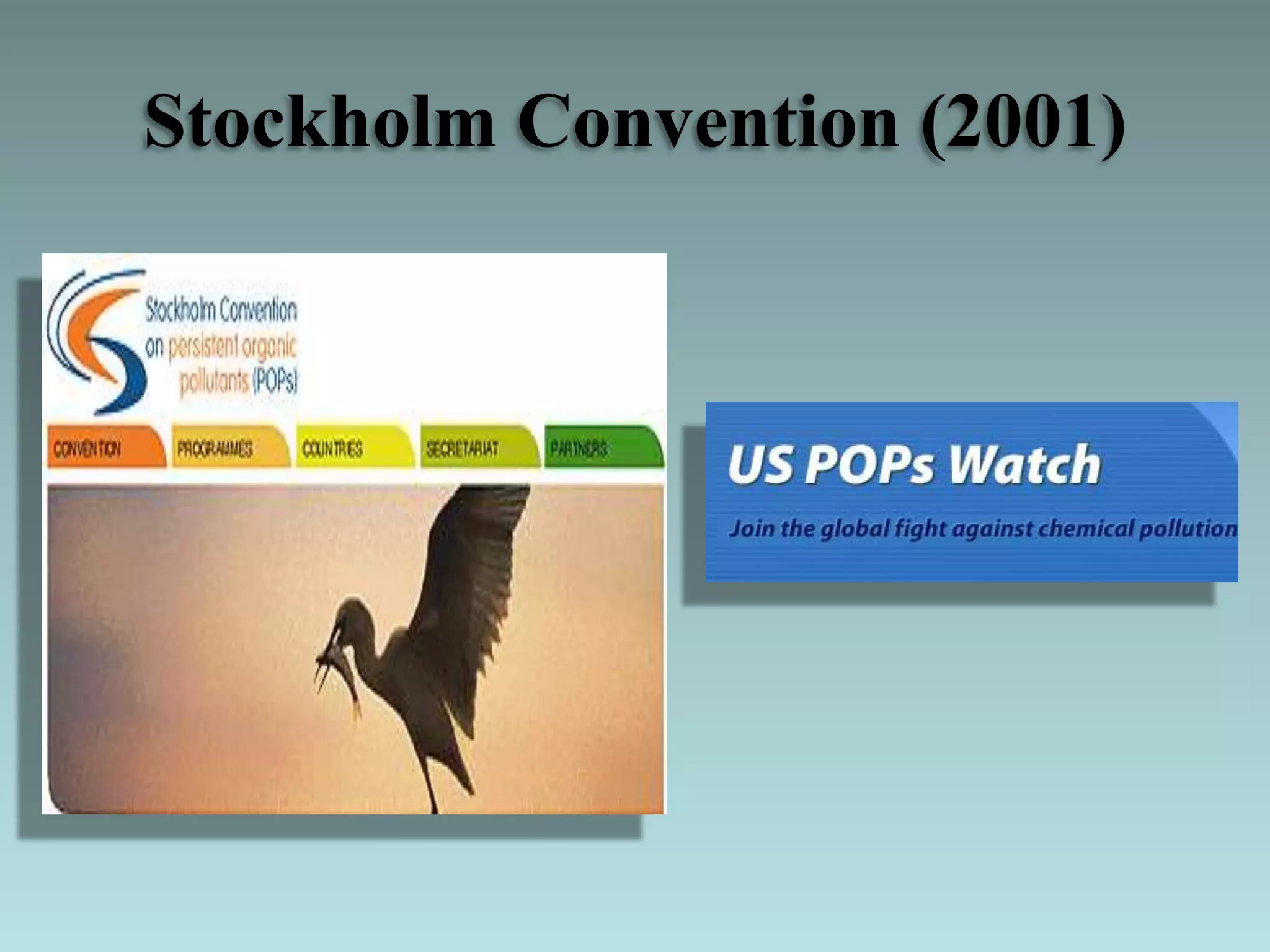 Stockholm Convention (2001)
 