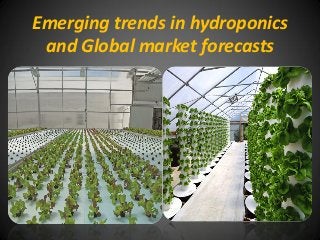 Emerging trends in hydroponics
and Global market forecasts
 