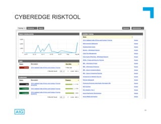 65
CYBEREDGE RISKTOOL
 