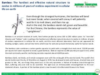 Bamboo: The hardiest and effective natural structure to
                                                                                                                 Bamboo nnovator
evolve in millions of years of restless experiment in cellular                                                    R.E.S.-ilience in Value Creation

life on earth

                                  Even through the strongest hurricanes, the bamboo will bend
                                  but never break; when covered with snow, it will patiently
                                  wait for it to melt down, and then rise up.
                                  And in the end, the bamboo stands tall, green and beautiful.
                                  For the Chinese, the bamboo represents the value of
                                  “uprightness”.

    Bamboo is an ancient resident of earth, here before people by some 100 to 200 million years. Its “root-like”
    rhizome and “hollow” culm is perhaps the hardiest and effective natural structure to evolve in millions of years
    of restless experiment in cellular life on earth, and the most efficient laboratory that has yet appeared for
    braiding sunlight, water, and soil into forms which have for centuries proved immensely useful for human needs.

    The bamboo culm combines a certain gentle capacity to yield with a strength that rivals steel. 52,000 pounds
    per square inch were required to break a good bamboo. Walnut required 22,000 pounds per square inch, while
    the steel commonly used for reinforcing concrete required about 60,000 pounds.

    Bamboos bend, not break, and remain evergreen even with the onslaught of the atomic bomb. The world’s first
    atomic bomb over the city of Hiroshima on August 6, 1945, has destroyed streets and houses, charred trees and
    grasses to bits. Yet, one living thing stood out. In the very epicenter, a thicket of bamboo stood through the
    blast, suffering only one side to be scorched. The sight was an immeasurable encouragement to the war-
    shattered citizens. A portion of the bamboo plant is now housed in the Memorial Museum for Peace.

                                                                                                                                                     121
(1) Buffett + Bosch + Baiyao   (2) Mental Model: Bamboo Innovator   (3) Boobytraps in the Asian Capital Jungle   (4) An Asian Stock Discussion
 