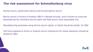 17
The risk assessment for Schmallenberg virus
Animal serum, particularly bovine and Ovine/Caprine serum
Bovine serum is known to harbour SBV in infected animals, and is known to cross the
placental barrier, therefore bovine adult and fetal serum have associated risk.
Manufacturing processes using bovine serum (adult, or fetal) should be tested for SBV.
Cell lines exposed to Ovine or Caprine serum (antiserum for clonal selection) should be
tested for SBV.
 