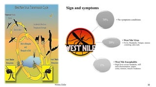 70% • No symptoms conditions
20%
• West Nile Virus
• Fever, Headache, Fatigue, nausea
,vomiting ,skin rash.
1%
• West Nile Encephalitis
• High fever severe headache, stiff
neck disorientation ,stupor
coma, tremors, muscle weakness
Sign and symptoms
Nimra Zafar 11
 
