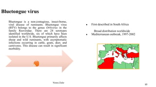 Bluetongue virus
Bluetongue is a non-contagious, insect-borne,
viral disease of ruminants. Bluetongue virus
(BTV) belongs to the genus Orbivirus in the
family Reoviridae. There are 24 serotypes
identified worldwide, six of which have been
isolated in the U.S. Bluetongue primarily affects
sheep and wild ruminants, with asymptomatic
infections occurring in cattle, goats, deer, and
carnivores. This disease can result in significant
morbidity.
● First described in South Africa
Broad distribution worldwide
● Mediterranean outbreak, 1997-2002
Nimra Zafar
13
 