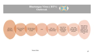 Bluetongue Virus ( BTV)
Outbreak
1881 first
describe in
south Africa
1933 it was first
diagnose in
cattle
1964 the disease
was first report
in India
1974
1981 was
widely spread in
southern India
1986-1995 the
disease was
recorded where
258 outbreak
recorded
1997-1998
cause the death
of 30,000 sheep
and goats
2004-2008 the
mortality and
mobility was
highly prone to
bluetongue with
a high mortality
rate.
Nimra Zafar
17
 