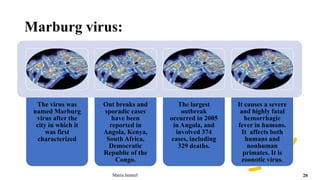 Marburg virus:
Maria Jameel 20
The virus was
named Marburg
virus after the
city in which it
was first
characterized
Out breaks and
sporadic cases
have been
reported in
Angola, Kenya,
South Africa,
Democratic
Republic of the
Congo.
The largest
outbreak
occurred in 2005
in Angola, and
involved 374
cases, including
329 deaths.
It causes a severe
and highly fatal
hemorrhagic
fever in humans.
It affects both
humans and
nonhuman
primates. It is
zoonotic virus.
 