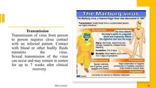 Transmission
Transmission of virus from person
to person requires close contact
with an infected patient. Contact
with blood or other bodily fluids
transmits the virus.
Sexual transmission of the virus
can occur and may remain in semen
for up to 7 weeks after clinical
recovery.
Maria Jameel 21
 