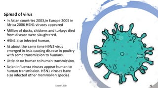 Spread of virus
• In Asian countries 2003,in Europe 2005 in
Africa 2006 H5N1 viruses appeared
• Million of ducks, chickens and turkeys died
from disease were slaughtered.
• H5N1 also infected human.
• At about the same time H9N2 virus
emerged in Asia causing disease in poultry
with some transmission to humans.
• Little or no human to human transmission.
• Avian influenza viruses appear human to
human transmission. H5N1 viruses have
also infected other mammalian species.
Enam Ullah 32
 