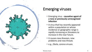 Emerging viruses
• Emerging virus - causative agent of
a new or previously unrecognized
infection
• A virus that has recently appeared
within a population or whose
incidence or geographic range is
rapidly increasing or threatens to
increase in the near future.
• It causes new diseases, new
problems and new threats
• e.g., Ebola, corona viruses
Momina Aamir 1
 