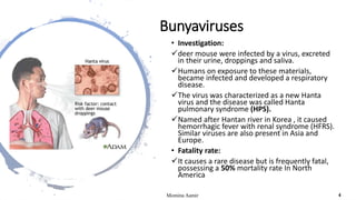 Bunyaviruses
• Investigation:
deer mouse were infected by a virus, excreted
in their urine, droppings and saliva.
Humans on exposure to these materials,
became infected and developed a respiratory
disease.
The virus was characterized as a new Hanta
virus and the disease was called Hanta
pulmonary syndrome (HPS).
Named after Hantan river in Korea , it caused
hemorrhagic fever with renal syndrome (HFRS).
Similar viruses are also present in Asia and
Europe.
• Fatality rate:
It causes a rare disease but is frequently fatal,
possessing a 50% mortality rate In North
America
Momina Aamir 4
 