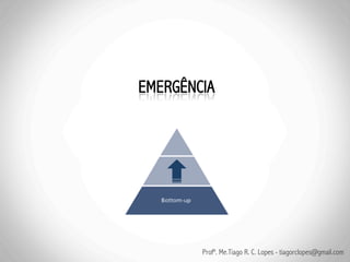 Profº. Me.Tiago R. C. Lopes - tiagorclopes@gmail.com
 