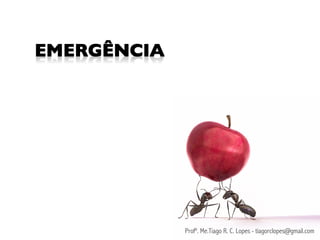 Profº. Me.Tiago R. C. Lopes - tiagorclopes@gmail.com
 