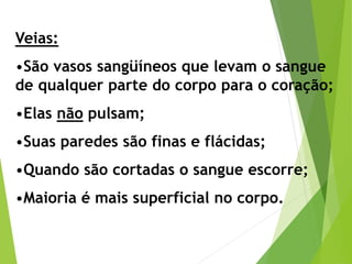 Veias:
•São vasos sangüíneos que levam o sangue
de qualquer parte do corpo para o coração;
•Elas não pulsam;
•Suas paredes são finas e flácidas;
•Quando são cortadas o sangue escorre;
•Maioria é mais superficial no corpo.
 