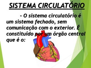 SISTEMA CIRCULATÓRIO
- O sistema circulatório é
um sistema fechado, sem
comunicação com o exterior. É
constituído por um órgão central
que é o:
 