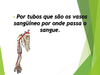 - Por tubos que são os vasos
sangüíneo por onde passa o
sangue.
 