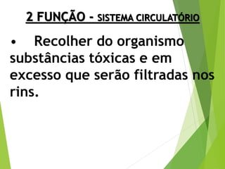2 FUNÇÃO - SISTEMA CIRCULATÓRIO
• Recolher do organismo
substâncias tóxicas e em
excesso que serão filtradas nos
rins.
 