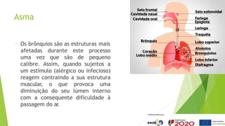 Asma
Os brônquios são as estruturas mais
uma vez que são de
afetadas durante este processo
pequeno
calibre. Assim, quando sujeitos a
um estímulo (alérgico ou infecioso)
reagem contraindo a sua estrutura
muscular, o que provoca uma
diminuição do seu lúmen interno
com a consequente dificuldade à
passagem do ar
.
 