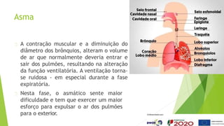 Asma
A contração muscular e a diminuição do
diâmetro dos brônquios, alteram o volume
de ar que normalmente deveria entrar e
sair dos pulmões, resultando na alteração
da função ventilatória. A ventilação torna-
se ruidosa - em especial durante a fase
expiratória.
Nesta fase, o asmático sente maior
dificuldade e tem que exercer um maior
esforço para expulsar o ar dos pulmões
para o exterior.
 