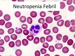 Neutropenia Febril 