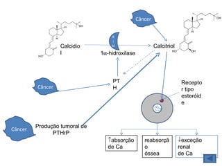 R I M Calcidiol Calcitriol 1  -hidroxilase PTH Receptor tipo esteróide   absorção  de Ca exceção renal de Ca reabsorção  óssea Câncer Produção tumoral de PTHrP Câncer Câncer 