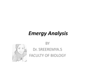 Emergy Analysis
BY
Dr. SREEREMYA.S
FACULTY OF BIOLOGY
 