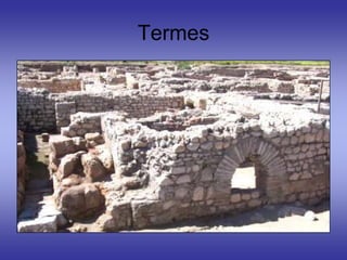 Termes
 