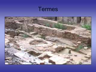 Termes
 