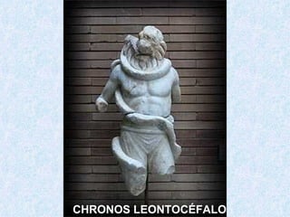 CHRONOS LEONTOCÉFALO
 
