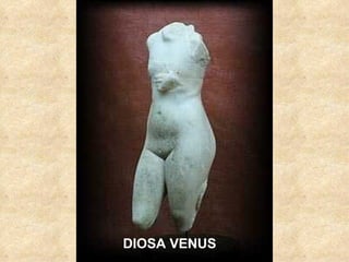 DIOSA VENUS
 