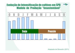 O N D J F M A M J J A S O
Evolução de Intensificação de cultivos em SPD
Modelo de Produção “Insustentável”
Soja Pousio
Adaptado de Denardin (2011)
 