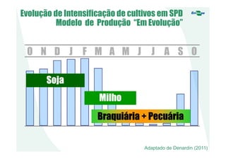 O N D J F M A M J J A S O
MilhoMilho
SojaSoja
Braquiária + PecuáriaBraquiária + Pecuária
Evolução de Intensificação de cultivos em SPD
Modelo de Produção “Em Evolução”
Adaptado de Denardin (2011)
 