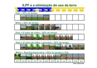 ILPF e a otimização do uso da terra
Soja ± 42% do tempo
Milho ± 50% do tempo
OUT NOV DEZ JAN FEV MAR ABR MAI JUN JUL AGO SET
Milho + Brachiaria/pecuária ± 92% do tempo (± 8%)
Soja + 2ª safra de milho ± 80% do tempo
Soja + 2ª safra de milho + pecuária ± 92% do tempo
Vilela e Kluthcouski
 