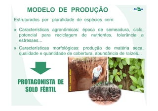 MODELO DE PRODUÇÃO
Estruturados por pluralidade de espécies com:
PROTAGONISTA DE
SOLO FÉRTIL
» Características agronômicas: época de semeadura, ciclo,
potencial para reciclagem de nutrientes, tolerância a
estresses...
» Características morfológicas: produção de matéria seca,
qualidade e quantidade de cobertura, abundância de raízes...
Foto:LourivalVilela
 