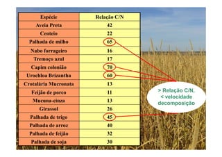 Espécie Relação C/N
Aveia Preta 42
Centeio 22
Palhada de milho 65
Nabo forrageiro 16
Tremoço azul 17
Capim colonião 70
Urochloa Brizantha 60
Crotalária Mucronata 13
Feijão de porco 11
Mucuna-cinza 13
Girassol 26
Palhada de trigo 45
Palhada de arroz 40
Palhada de feijão 32
Palhada de soja 30
> Relação C/N,
< velocidade
decomposição
 