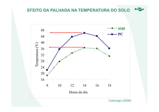 EFEITO DA PALHADA NA TEMPERATURA DO SOLO
16
20
24
28
32
36
40
44
48
8 10 12 14 16 18
Horas do dia
Temperatura(ºC)
SSD
PC
Calonego (2006)
 