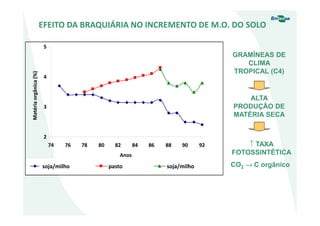 soja/milho
74
2
3
4
5
76 78 80 82 84 86 88 90 92
Anos
Matériaorgânica(%)
EFEITO DA BRAQUIÁRIA NO INCREMENTO DE M.O. DO SOLO
GRAMÍNEAS DE
CLIMA
TROPICAL (C4)
ALTA
PRODUÇÃO DE
MATÉRIA SECA
↑ TAXA
FOTOSSINTÉTICA
CO2 → C orgânicosoja/milhopasto
 