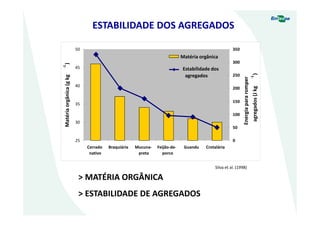25
30
35
40
45
50
Cerrado
nativo
Braquiária Mucuna-
preta
Feijão-de-
porco
Guandu Crotalária
Matériaorgânica(gkg
-1
)
Matéria orgânica
Silva et al. (1998)
0
50
100
150
200
250
300
350
Energiapararomper
agregados(Jkg
-1
)
Estabilidade dos
agregados
> MATÉRIA ORGÂNICA
> ESTABILIDADE DE AGREGADOS
ESTABILIDADE DOS AGREGADOS
 