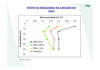 EFEITO DA BRAQUIÁRIA NA AERAÇÃO DO
SOLO
0
10
20
30
40
50
60
0 0,05 0,1 0,15 0,2 0,25 0,3
Macroporosidade (m
3
m
-3
)
Profundidade(cm)
Mata nativa
Milho solteiro
Milho + braq
Braquiária
Stone et al. (2003)
 